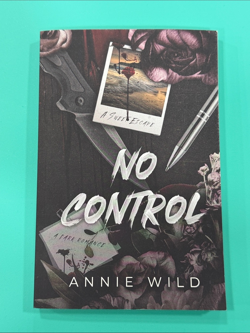 No Control by Annie Wild - paperback Cover